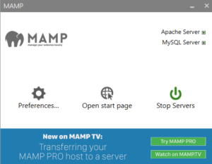 mamp install node packages