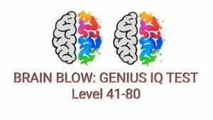 BRAIN BLOW GENIUS IQ TEST LEVEL 41 80