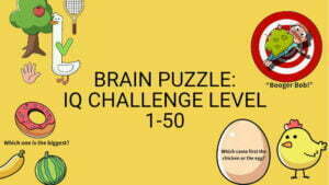 Brain Puzzle IQ Challenge Level 1 50