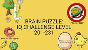 Brain Puzzle IQ Challenge Level 201 231