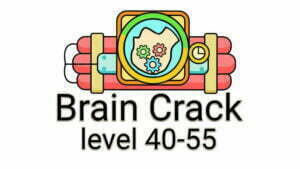 Brain crack 40 55