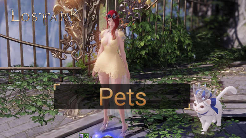 Pets in lost ark