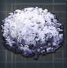 Absorbent Substrate